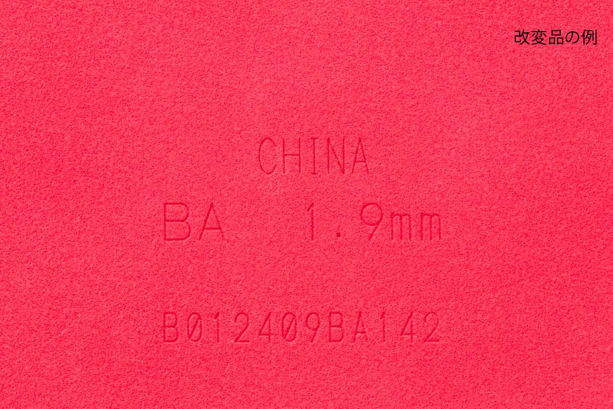 20260601_1.jpg