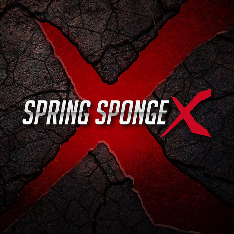 img_spring-sponge-x.jpg