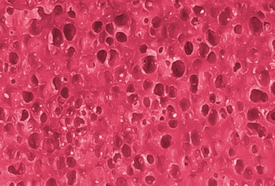 スプリング スポンジXの内部画像